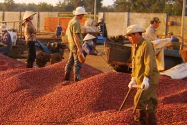 Trà, cà phê chịu thuế tiêu thụ đặc biệt?