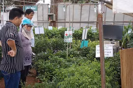 Tiếp tục điều tra vụ doanh nghiệp gian dối, lừa đảo khách hàng