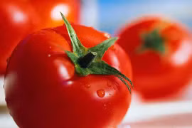 Cách se khít lỗ chân lông đơn giản mà hiệu quả từ nguyên liệu sẵn có trong bếp