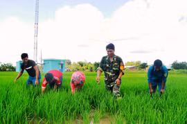 Tình quân dân nơi biên giới