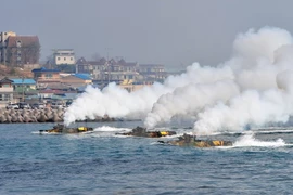 Lính thủy đánh bộ Hàn Quốc tập trận lớn bảo vệ đảo phía Đông