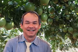 Bầu Đức 'bỏ túi' hàng trăm tỷ đồng từ trồng chanh dây