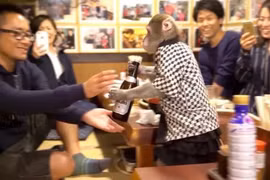 Quán bar Nhật Bản gây sốc với bồi bàn là khỉ