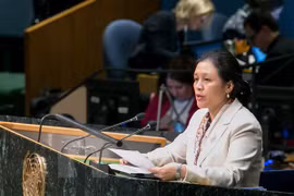 Việt Nam sẽ tiếp tục tham gia tích cực các hoạt động gìn giữ hòa bình