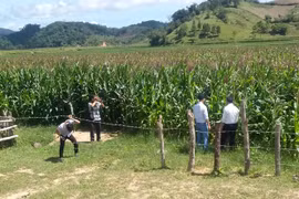 Người Xê Đăng làm cánh đồng lớn