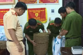 Phá đường dây ma túy, thu 120 kg cần sa, 3 kg ma túy đá, 2.000 viên ma túy tổng hợp