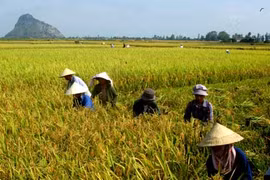 Kbang hỗ trợ hơn 4,5 tỷ đồng để phát triển ngành nghề nông thôn