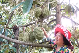 Tự tin làm giàu trên đồng quê