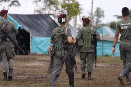 Phái bộ LHQ giám sát thỏa thuận hòa bình tại Colombia bị tấn công