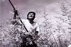 Ai yêu nghệ thuật mới giữ được những cánh đồng