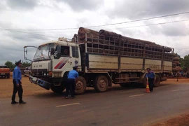 Phạt đối tượng nhắn tin đe dọa thanh tra giao thông 15 triệu đồng