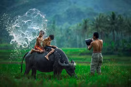 Nao lòng với những bức ảnh "trở lại tuổi thơ" khiến nhiều người xúc động