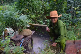 "Kỳ nhân" độc tôn trên núi Chứa Chan