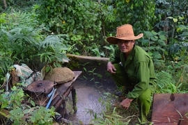 "Kỳ nhân" độc tôn trên núi Chứa Chan