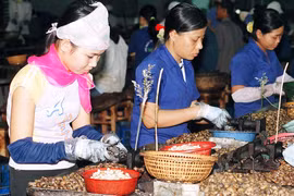 Cần cơ chế để kinh tế tư nhân phát triển