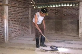 Ở nơi rừng rú vẫn làm giàu từ nuôi rắn hổ mang