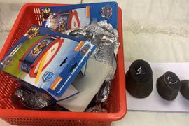 Bắt 1,5 kg sừng tê giác giấu trong đồ chơi trẻ em