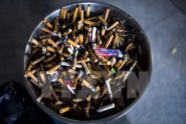 Việt Nam tổn thất 24.600 tỷ đồng mỗi năm do thuốc lá gây ra