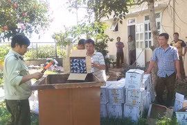 Gia Lai: Xử phạt trên 31 triệu đồng cơ sở sản xuất, kinh doanh rượu vi phạm