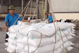 Đường tồn kho kỷ lục