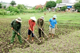 Điểm báo Gia Lai ngày 5-5-2017