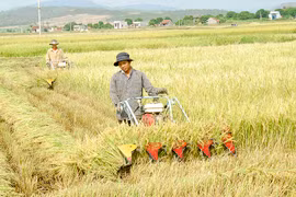Phú Thiện: Đẩy nhanh tiến độ cấp giấy chứng nhận quyền sử dụng đất nông nghiệp