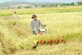 Phú Thiện: Đẩy nhanh tiến độ cấp giấy chứng nhận quyền sử dụng đất nông nghiệp