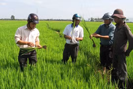 Đảng bộ huyện Ia Pa chú trọng tạo nguồn kết nạp đảng viên mới