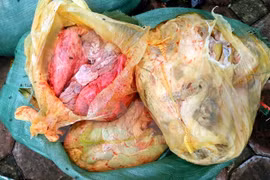 Xe ô tô vận chuyển 1,6 tấn nội tạng động vật bốc mùi hôi thối