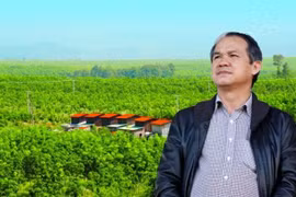 Cầm cố hơn 70% tài sản, Bầu Đức thua vợ Bầu Kiên