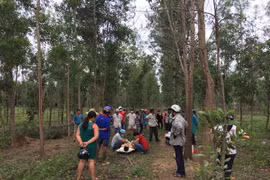 Nam thanh niên treo cổ trong rừng tràm