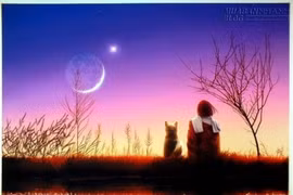 Đừng để cuộc sống của bạn trở nên vô nghĩa