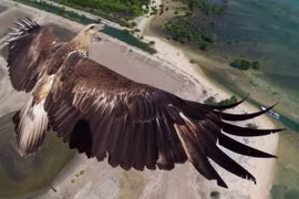 Ngoạn mục ảnh trên không do flycam chụp