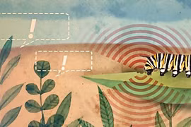 Thực vật có thể nói chuyện với nhau cảnh báo mối nguy hiểm