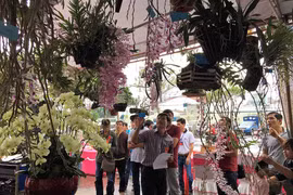 Triển lãm hoa lan Gia Lai lần thứ I - năm 2017