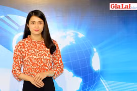 Gia Lai 48h: Cần cơ chế để kinh tế tư nhân phát triển