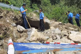 Đào cả quốc lộ tìm gỗ sưa