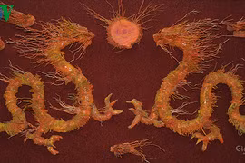 Khi gốc, rễ cây hóa tác phẩm nghệ thuật