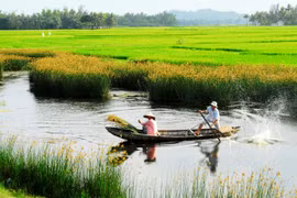 “Quê hương là nguồn cảm hứng của đời tôi…”
