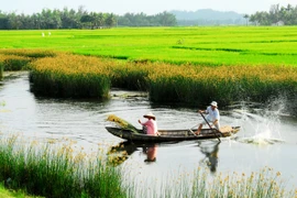 “Quê hương là nguồn cảm hứng của đời tôi…”