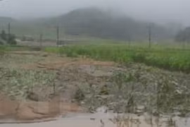 Mỹ quyết định cung cấp viện trợ nhân đạo cho Triều Tiên