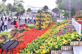 Trẩy hội đường hoa…