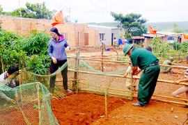 Chuyện về Tiểu khu 119