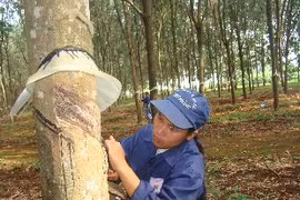 Phấn đấu giữ vững danh hiệu trong sạch vững mạnh tiêu biểu