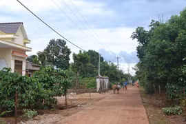 Trù phú làng Dút 1