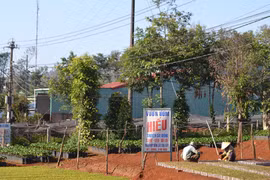 Nâng cao hiệu quả quản lý giống cây trồng