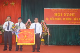 Công ty TNHH MTV Cao su Mang Yang: Phấn đấu tổng doanh thu đạt 291 tỷ đồng