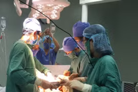 Tử vong vì bị trâu húc lòi ruột, gãy xương sườn