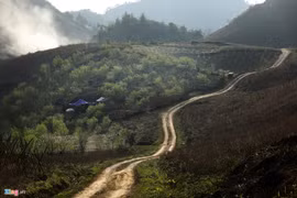 Mộc Châu đẹp như tranh những ngày đầu xuân