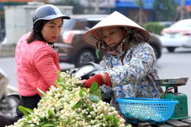 Nồng nàn những gánh hoa bưởi đầu mùa